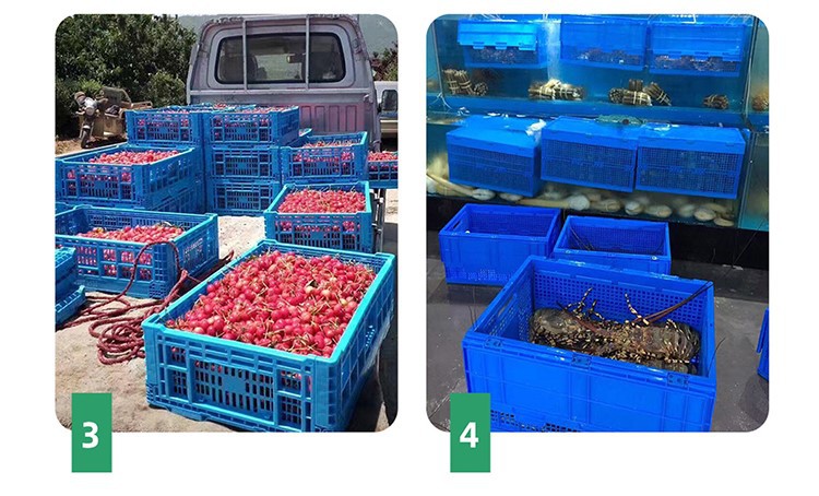 Detail-0302 Detail-0302