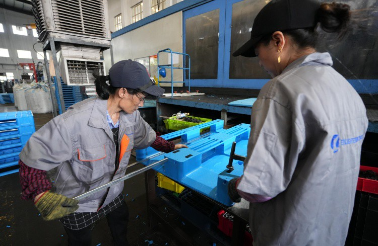 Structure and Function Customization Structure and Function Customization