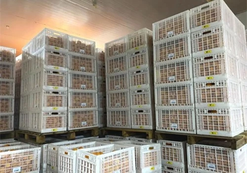 Logistics Warehouse Logistics Warehouse